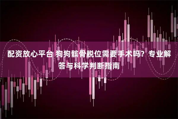 配资放心平台 狗狗髌骨脱位需要手术吗？专业解答与科学判断指南