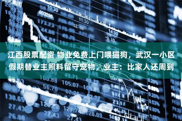 江西股票配资 物业免费上门喂猫狗，武汉一小区假期替业主照料留守宠物，业主：比家人还周到