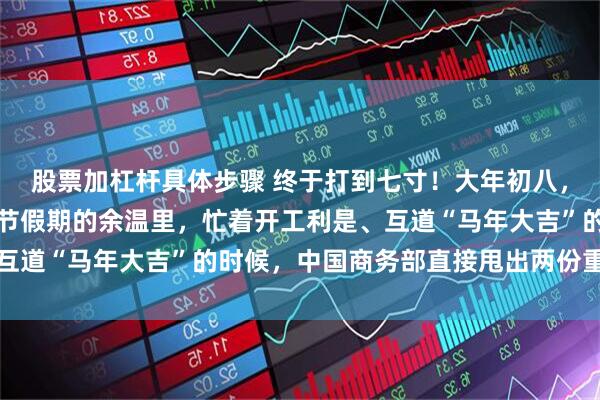 股票加杠杆具体步骤 终于打到七寸！大年初八，当大多数人还沉浸在春节假期的余温里，忙着开工利是、互道“马年大吉”的时候，中国商务部直接甩出两份重磅炸弹